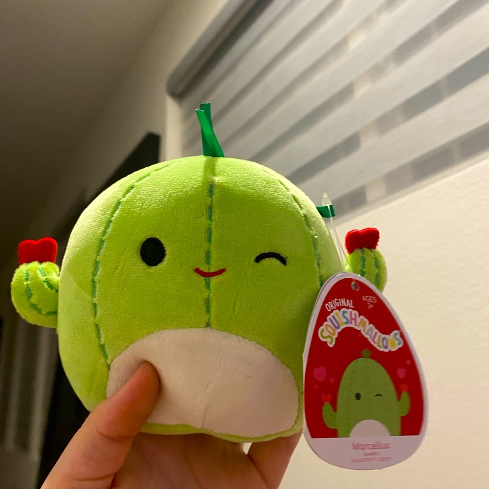 Cactus valentines mini squishmallow